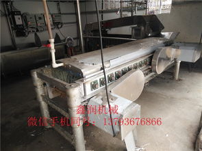 鴿子宰殺脫毛機鑫潤機械生產銷售